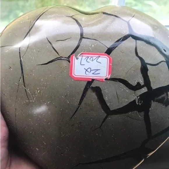 X-Large septarian dragon heart
